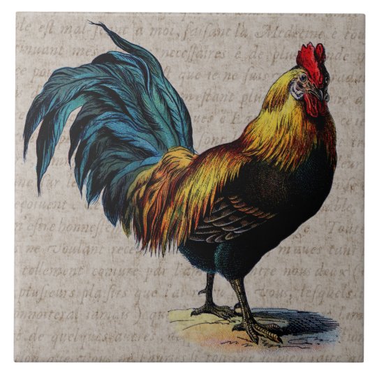 Vintage Rooster and Antique Text Collage - Custom Tile