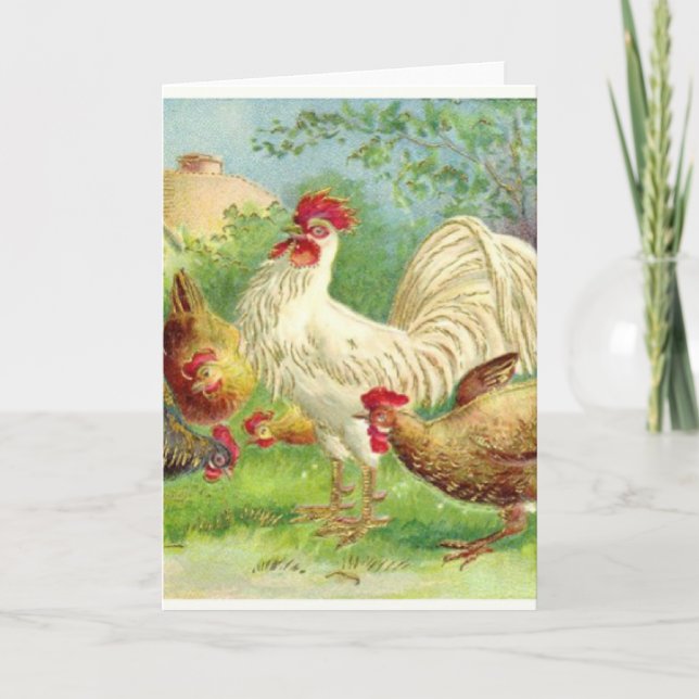 Vintage Rooster and Chickens Holiday Card (Front)
