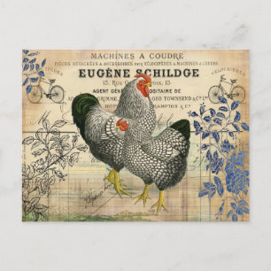 Vintage Rooster and Hen Ephemera Postcard