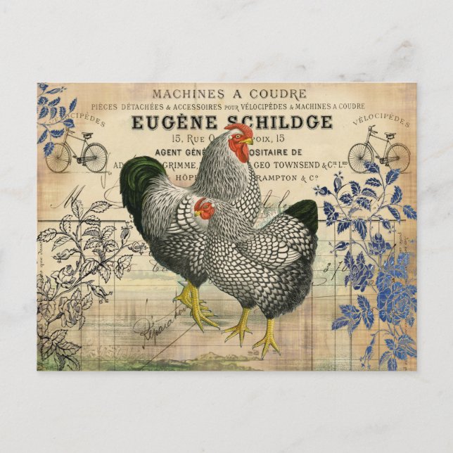 Vintage Rooster and Hen Ephemera  Postcard (Front)