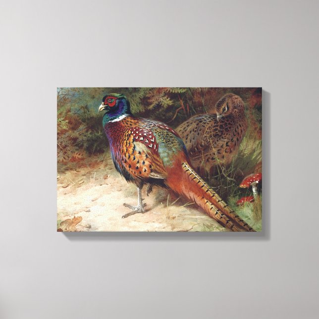 Vintage Rooster and Hen Pheasant Canvas Print (Front)