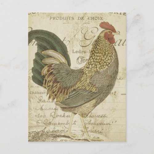 Vintage Rooster Brown Feathers French Ephemera Postcard
