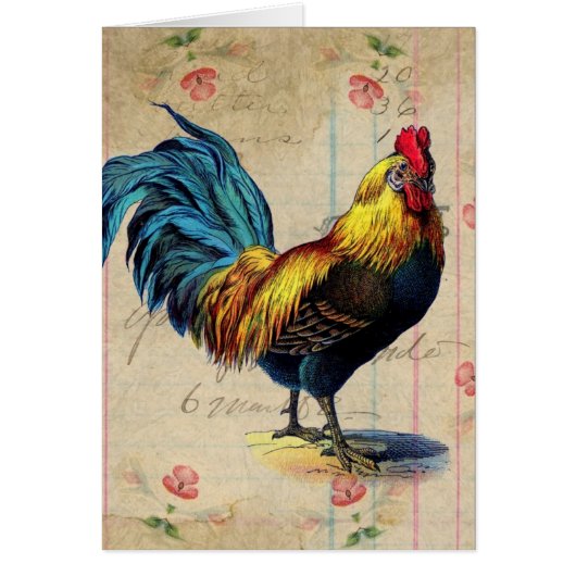 Vintage Rooster Cards (Front)