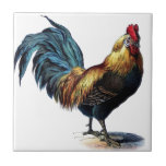 Vintage Rooster Ceramic Tile<br><div class="desc">This beautiful Vintage Rooster is great just the way it is or you can customize with your own text to make it a personalized gift.</div>