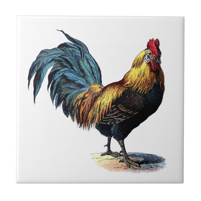 Vintage Rooster Ceramic Tile (Front)