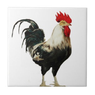 Vintage Rooster Chicken Customize Animal best Ceramic Tile