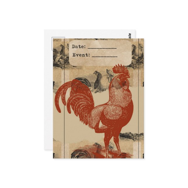Vintage Rooster Collage Postcard (Front/Back In Situ)