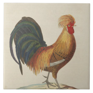 Vintage rooster decor ceramic tile
