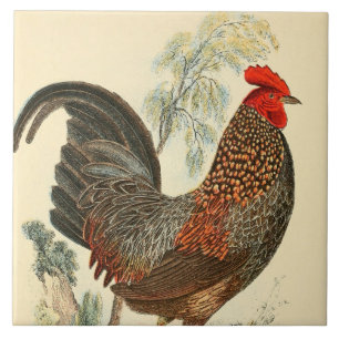 Vintage rooster decor ceramic tile