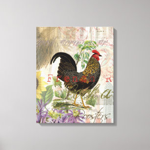 Vintage Rooster French Collage Farm Pet Canvas Print