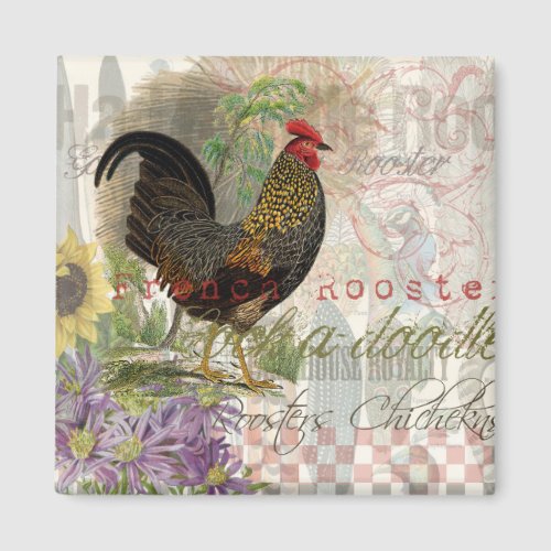 Vintage Rooster French Collage Farm Pet Magnet