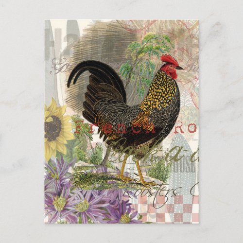 Vintage Rooster French Collage Farm Pet Postcard