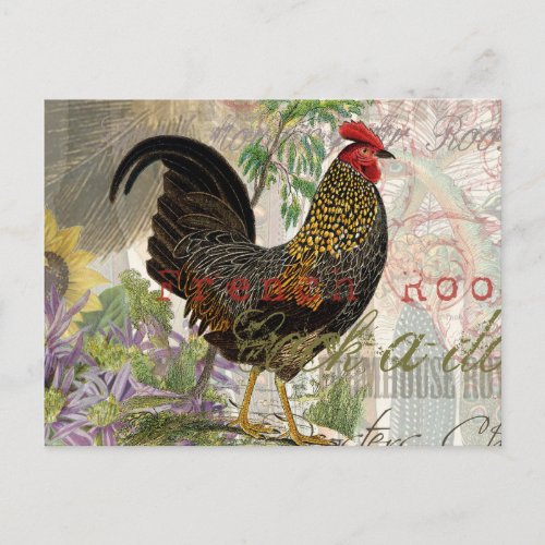 Vintage Rooster French Collage Farm Pet Postcard