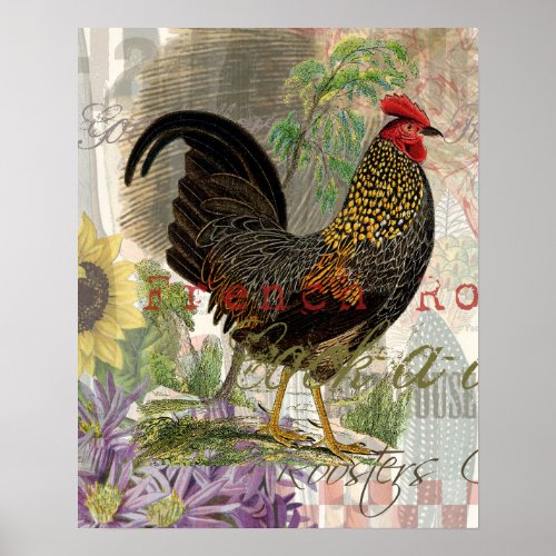 Vintage Rooster French Collage Farm Pet Poster