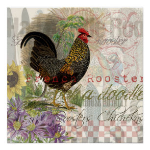 Vintage Rooster French Collage Farm Pet Poster