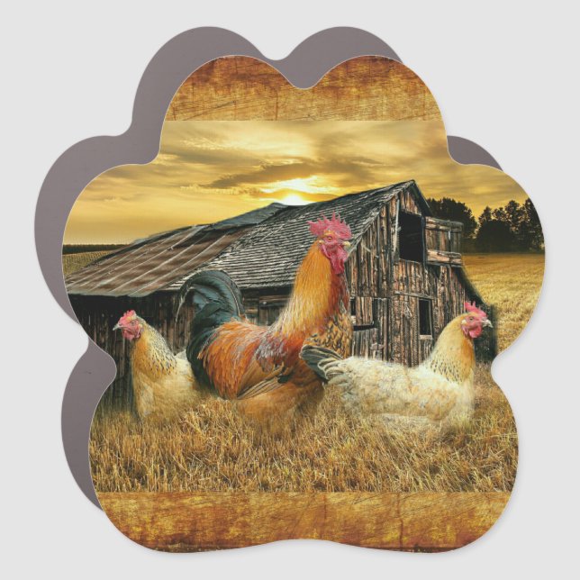 Vintage Rooster Hens Rustic Barn Coop Car Magnet (Front)