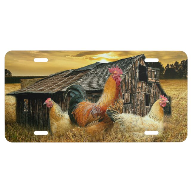 Vintage Rooster Hens Rustic Barn Coop License Plate (Front)