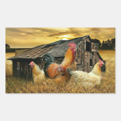 Vintage Rooster Hens Rustic Barn Coop Rectangular Sticker