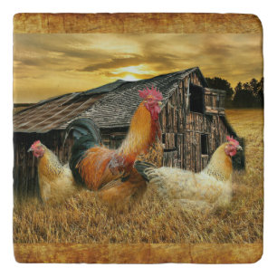 Vintage Rooster Hens Rustic Barn Coop Trivet