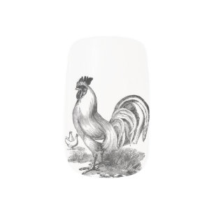 Vintage rooster illustration minx nail wraps