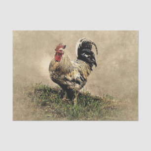 Vintage Rooster in the Grass Tissue Paper