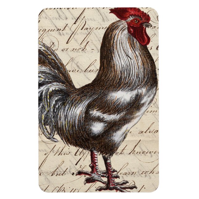 Vintage Rooster Magnet (Vertical)