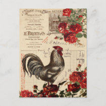 Vintage Rooster Postcard