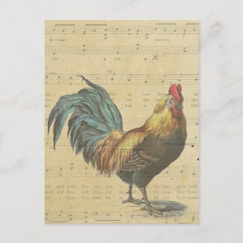 Vintage Rooster Sheet Music Notes Rustic Country by red_dress at Zazzle