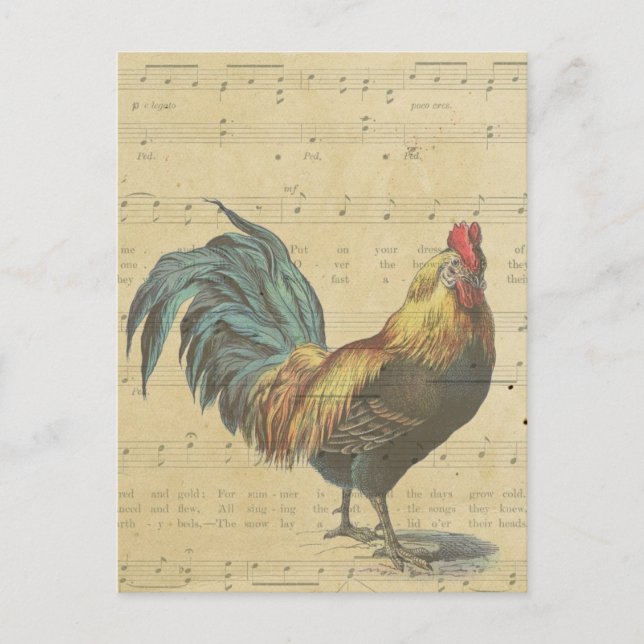 Vintage Rooster Sheet Music Notes Rustic Country (Front)