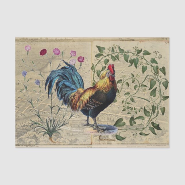 Vintage Rooster Vine Map Tissue Paper (Front)