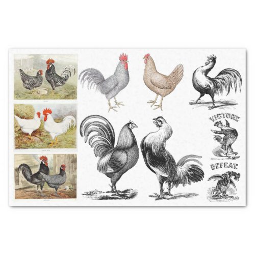 Vintage Roosters Hens Farm Decoupage Collage Tissue Paper