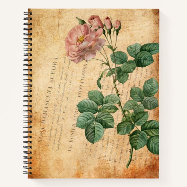 Vintage Rosa Damascena Aurora Notebook (Front)