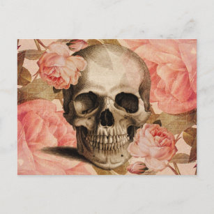 Vintage Rosa Skull Collage Postcard