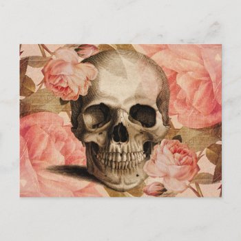 Vintage Rosa Skull Collage Postcard by opheliasart at Zazzle