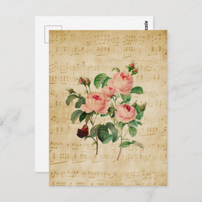 Vintage Rose and Music Sheet   Postcard (Front/Back)