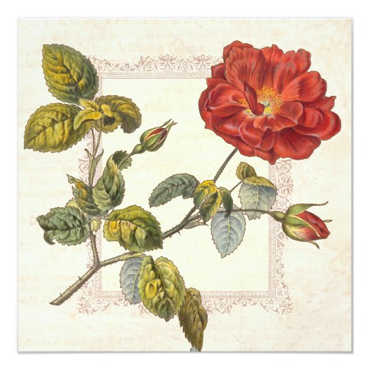 Vintage Rose Botanical Birthday Garden Party Card