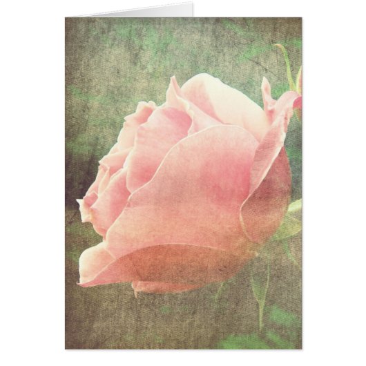 Vintage Rose Cards (Front)