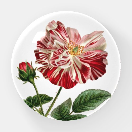 Vintage Rose Floral in Red and White Paperweight