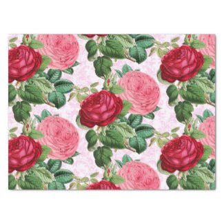Vintage Rose  Floral Pink  Damask 