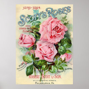 Vintage Rose Flower Catalog Cover Illustration Poster