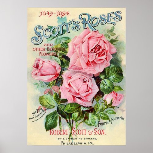 Vintage Rose Flower Catalog Cover Illustration Poster