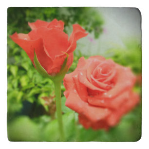 Vintage Rose Flowers #3 Trivet