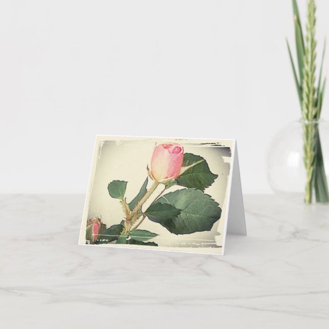 Vintage rose folded note cards (Front)