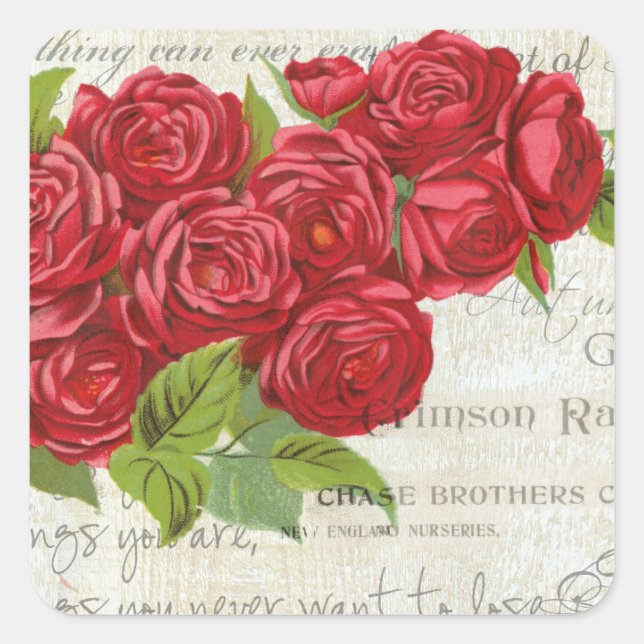Vintage Rose Love Flower Valentine  Square Sticker (Front)