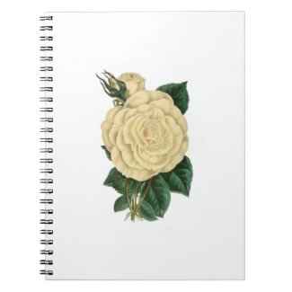 Vintage rose photo notebook