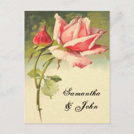 Vintage Rose Save The Date Announcement Postcard