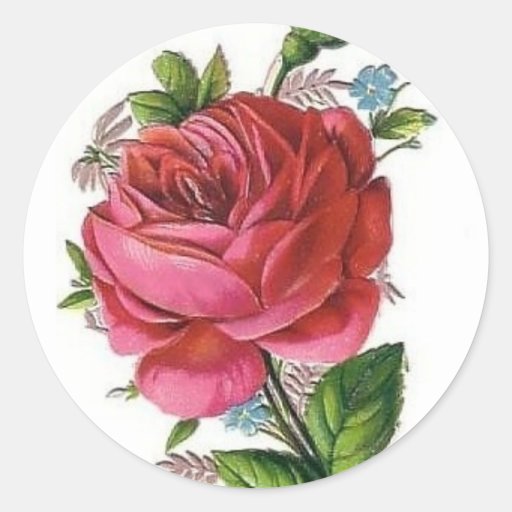 Vintage Rose sticker | Zazzle