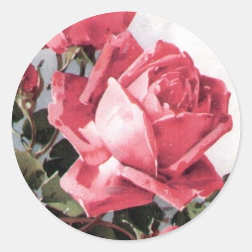 Vintage rose sticker | Zazzle