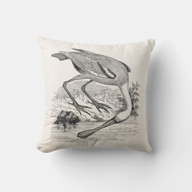 Vintage Roseate Spoonbill Bird - Tropical Birds Throw Pillow (Front)