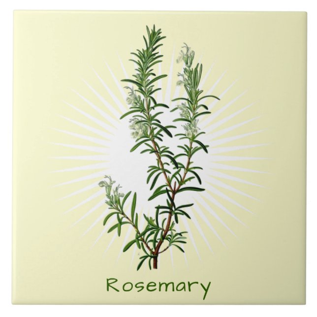 Vintage Rosemary Herb Botanical Art Ceramic Tile (Front)